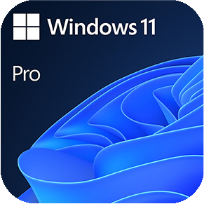 Windows 11 Pro